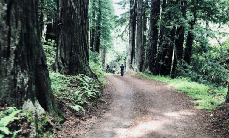 Big Sur's Old Coast Road E-Bike Tour - The Experience and Whats Included
