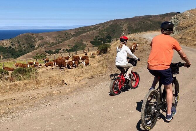 Big Sur's Old Coast Road eBike Tour - Final Thoughts: Is It Worth It?
