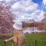 Bike Rental NYC Central Park - An In-Depth Look at the Bike Rental Experience