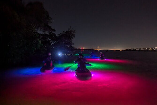 Bioluminescent Comb Jelly & LED Kayak / Paddle board Excursion - Who Will Love This Tour?