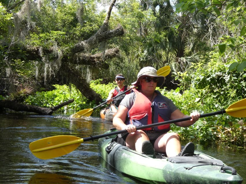 Blackwater Creek: Exclusive Nature Escape Kayak Adventure - A Detailed Look at the Blackwater Creek Kayak Tour