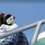 Boothbay: Lighthouses & Islands Harbor Cruise - Who Will Love This Tour?