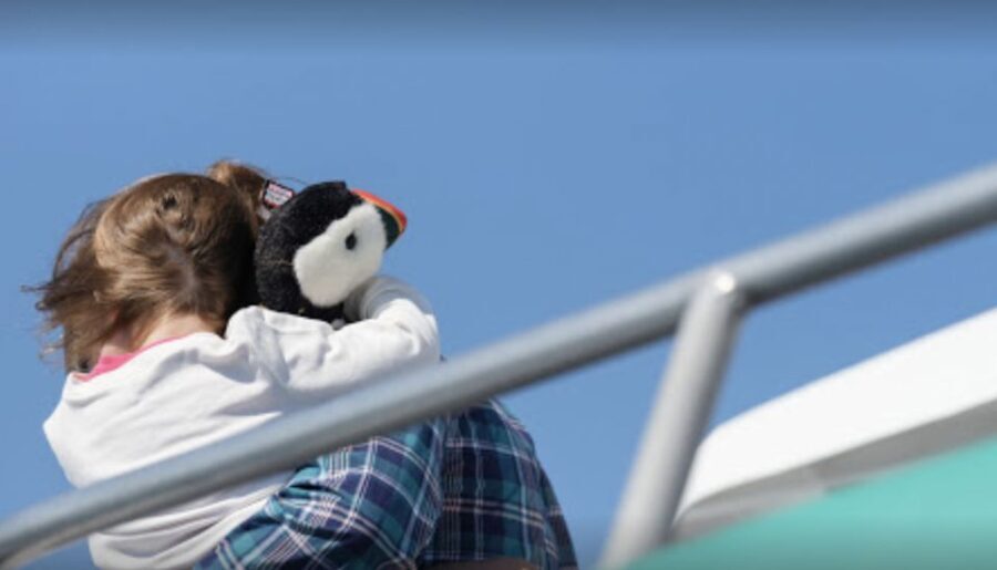 Boothbay: Lighthouses & Islands Harbor Cruise - Who Will Love This Tour?