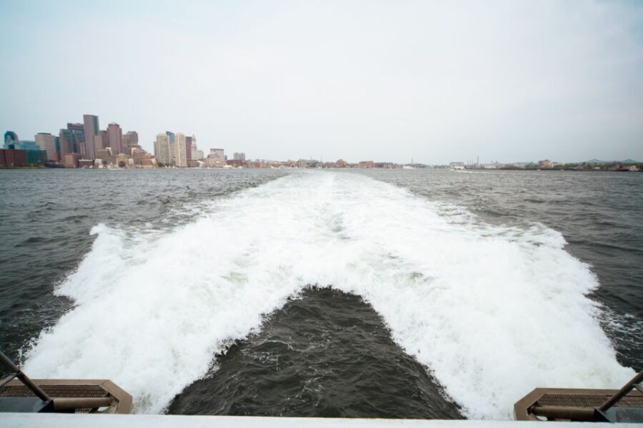 Boston: City Cruises Whale Watching Cruise - The Details of the Experience