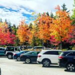 Boston: Fall Foliage Tour - Frequently Asked Questions