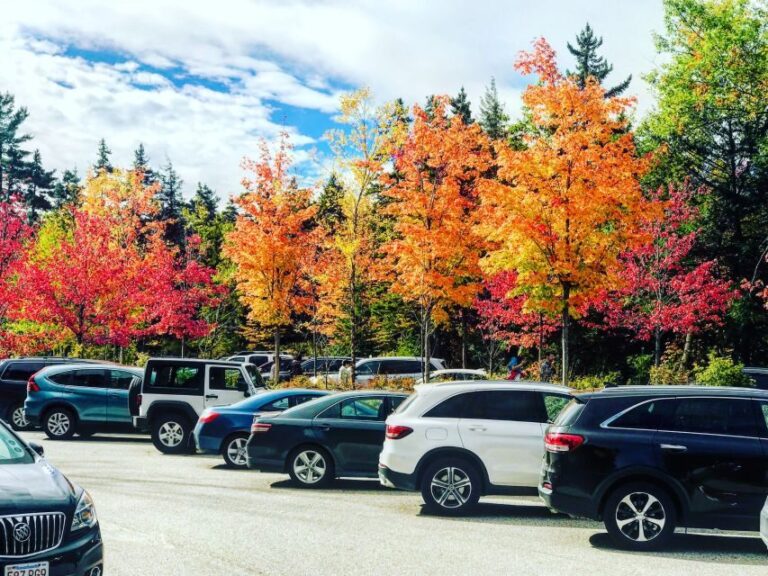 Boston: Fall Foliage Tour - Frequently Asked Questions