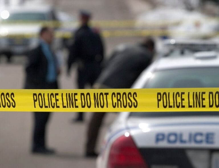 Boston: In Cold Blood True Crime Guided Walking Tour - The Value of This Tour