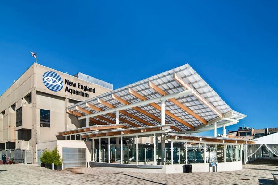 Boston: New England Aquarium Skip-the-Line Entry Ticket - The Experience: Practical Tips and Insights