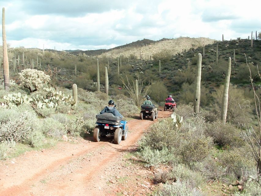 Box Canyon and Pinal Mountains Half-Day ATV Tour - Who Should Consider This Tour?