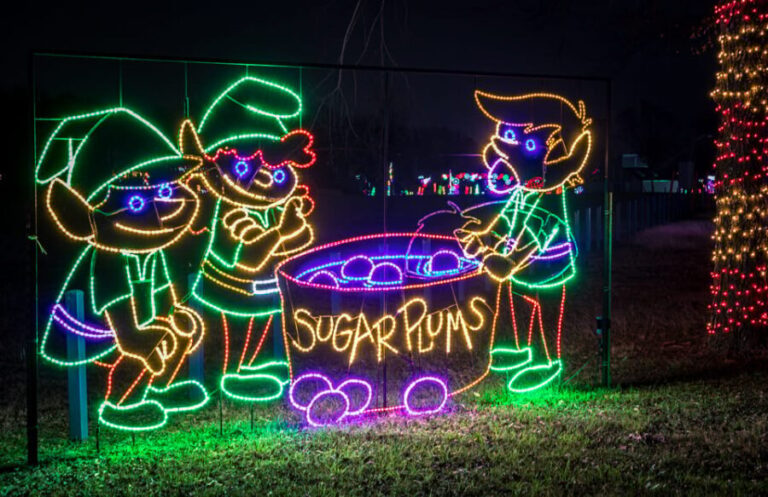 Branson: Lights of Joy Christmas Drive-Thru - Who Should Consider This Tour?