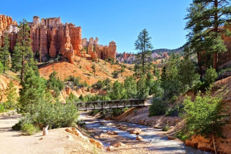 Bryce Canyon City Guided ATV/RZR Tour - Who Is This Tour Best For?