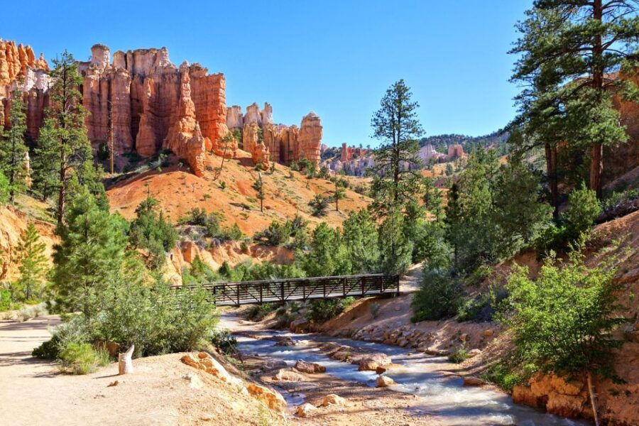 Bryce Canyon City Guided ATV/RZR Tour - Who Is This Tour Best For?