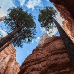 Bryce Canyon Full Day Small Group Tour - What Makes This Tour Stand Out?