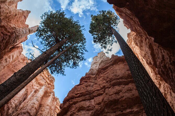 Bryce Canyon Full Day Small Group Tour - What Makes This Tour Stand Out?