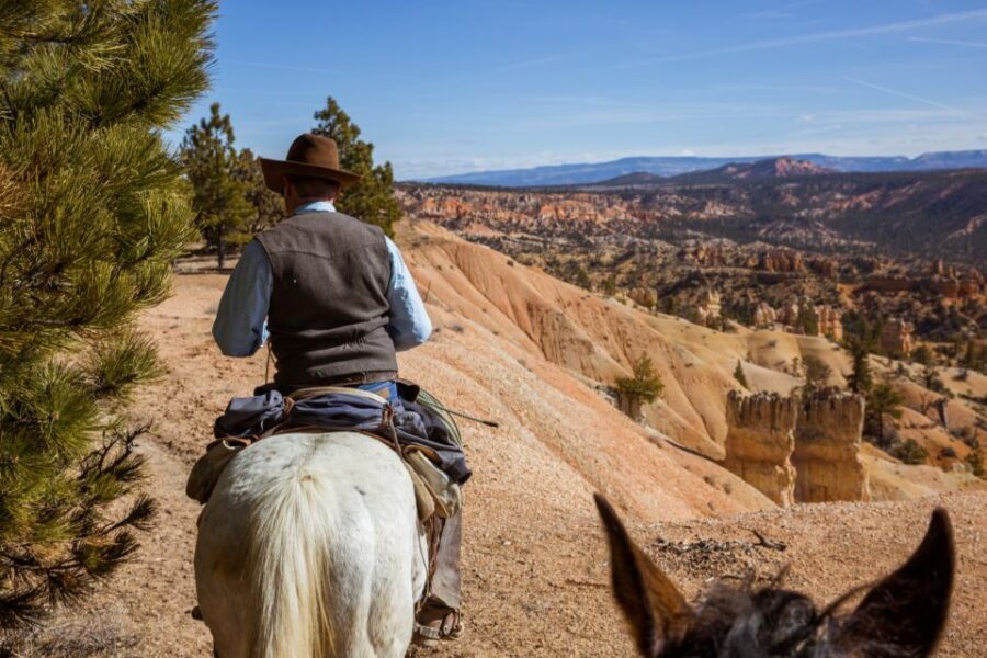 Bryce Canyon: Horseback Ride in the Dixie National Forest - Who Should Consider This Tour?