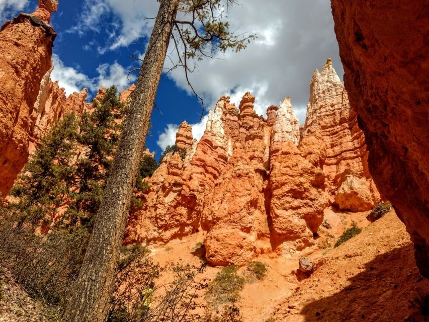 Bryce Canyon National Park Hiking Experience - Who Will Love This Tour?