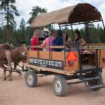 Bryce Canyon National Park: Scenic Wagon Ride to the Rim - Authenticity and Guides