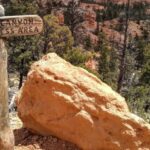 Bryce: Guided Sightseeing Tour of Bryce Canyon National Park - Why Choose This Tour?