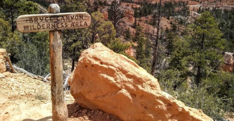 Bryce: Guided Sightseeing Tour of Bryce Canyon National Park - Why Choose This Tour?