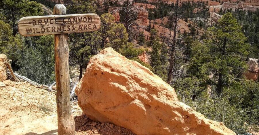 Bryce: Guided Sightseeing Tour of Bryce Canyon National Park - Why Choose This Tour?
