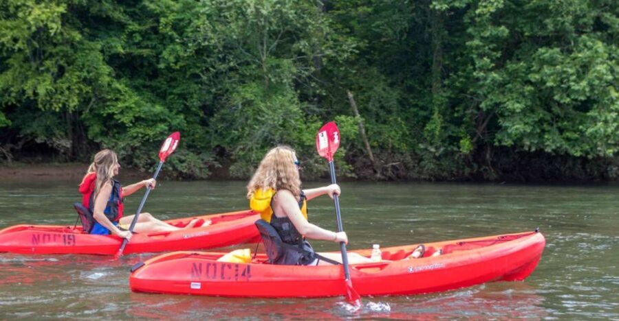 Bryson City: Fontana Lake Guided Kayak Tour - Who Should Consider This Tour?