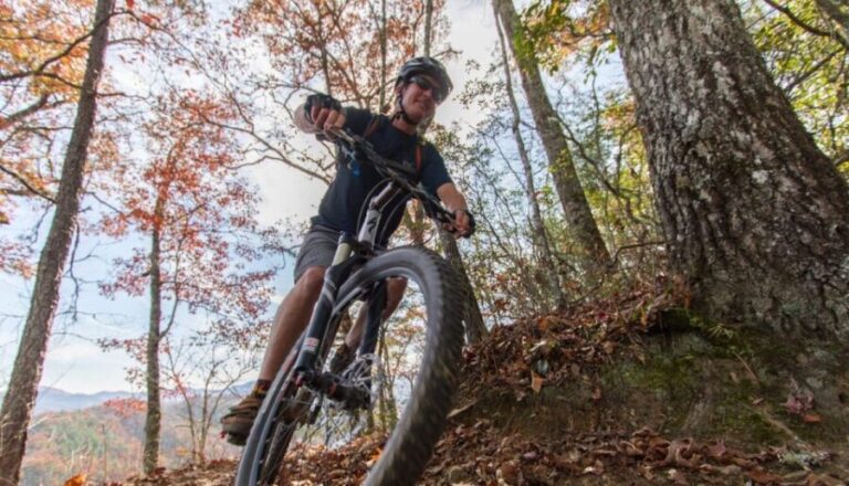 Bryson City: Tsali Recreation Area Guided Mountain Bike Tour - Who Is This Tour Best For?