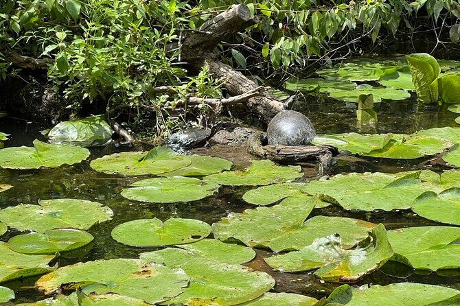 Buckhorn State Park nature hike, kayaking tour, and fishing - An In-Depth Look at the Tour Itinerary