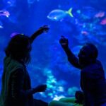 California Academy of Sciences NightLife Plus Admission - Value and Who Will Love This Experience