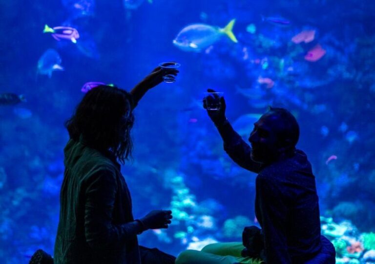 California Academy of Sciences NightLife Plus Admission - Value and Who Will Love This Experience
