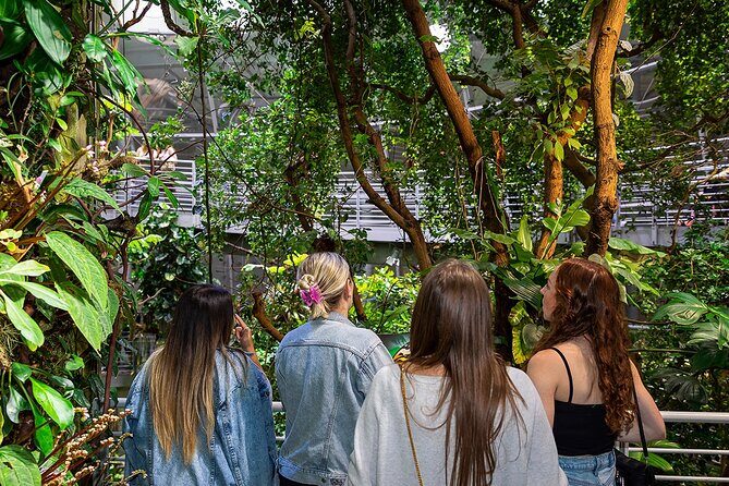 California Academy of Sciences NightLife Plus Admission Ticket - Authentic Insights from Reviewers