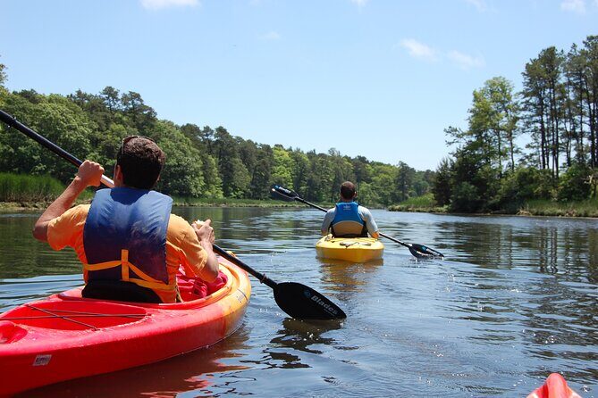 Cape Cod Sunset Kayak Tour - Why This Tour Is Perfect for You