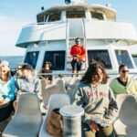 Cape May: Cape May Island Sunset Cruise & Dolphin Watching - Why This Cruise Stands Out