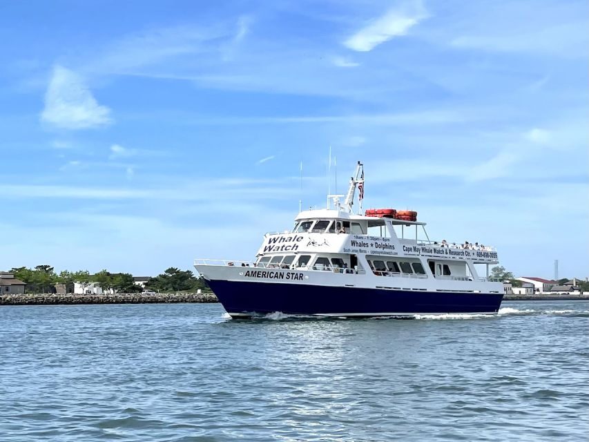 Cape May: Scenic Whale and Dolphin Watching Cruise - The Practical Side: What You Need to Know