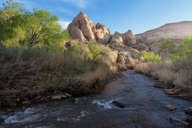 Capitol Reef Sunrise Photography Tour - Who Is This Tour Best For?
