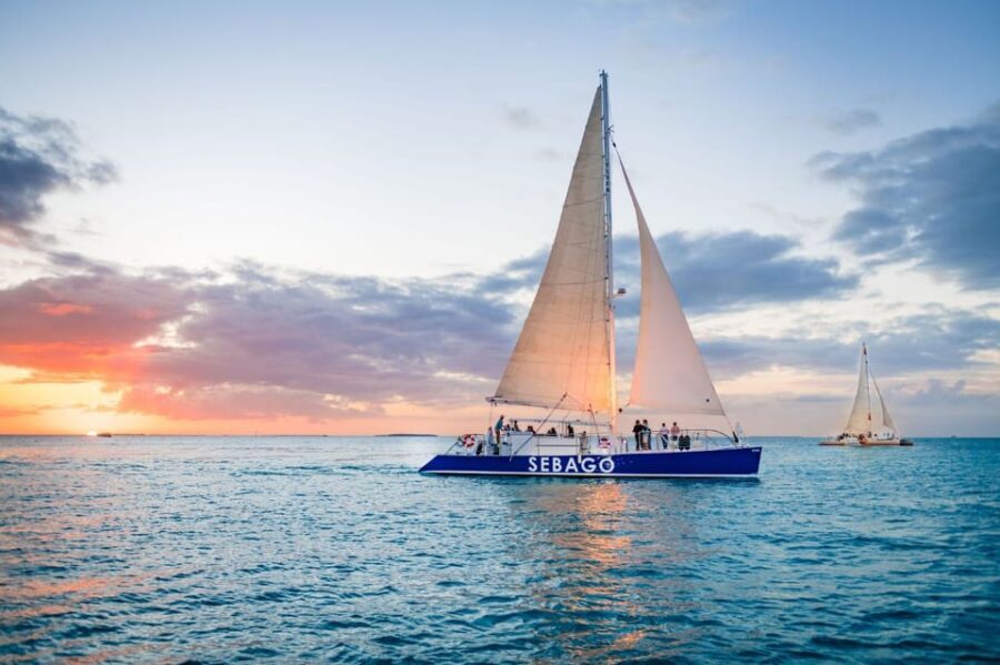 Captain's Choice: Dolphin Watch Sunset Sail - Who Is This Tour Best For?