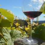 Carmel Valley Wine Tasting Tour - Final Thoughts: Is the Carmel Valley Wine Tasting Tour Worth It?