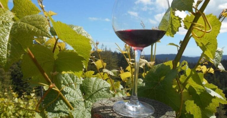Carmel Valley Wine Tasting Tour - Final Thoughts: Is the Carmel Valley Wine Tasting Tour Worth It?