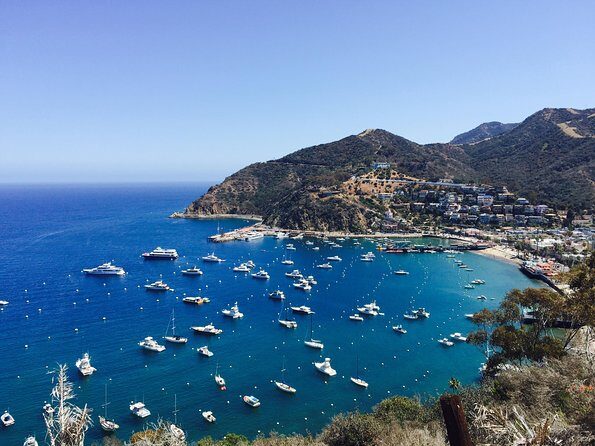 Catalina Island w/Discover Avalon Scenic Tour & Hotel transfers - Practical Aspects and Tips
