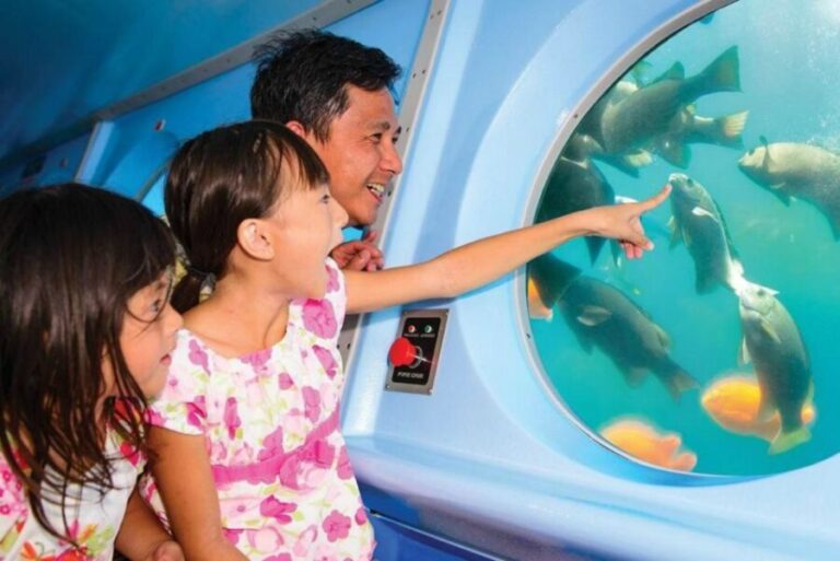 Catalina Island: Yellow Semi-Submarine Cruise - Who Is This Tour Best For?
