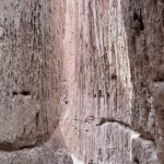 Cathedral Gorge State Park and Area 51 day tour from Las Vegas - Who Is This Tour Best For?