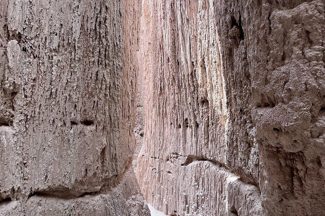 Cathedral Gorge State Park and Area 51 day tour from Las Vegas - Who Is This Tour Best For?