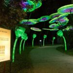 Central Florida Zoo and Botanical Gardens Ticket - FAQ