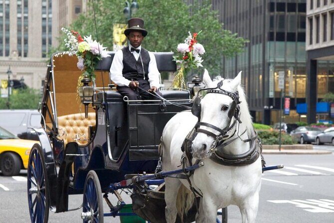 Central Park and NYC Horse Carriage Ride - Final Thoughts
