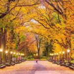 Central Park Bike Rental In New York City - The Itinerary and What You Can Expect