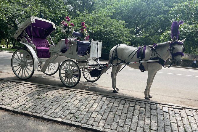 Central Park Horse Carriage Rides Since 2005 - Deep Dive into the Landmarks