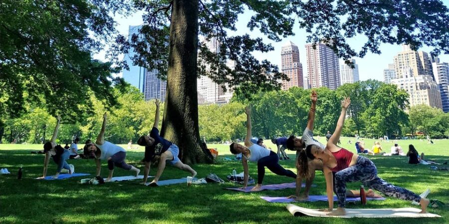 Central Park, New York: Yoga Classes in the park since 2012 - Who Will Love This Experience?