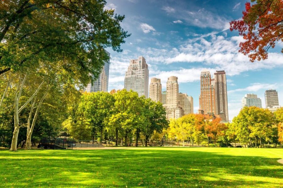 Central Park Private Walking Tour with Transfers - The Value of Guided Expertise
