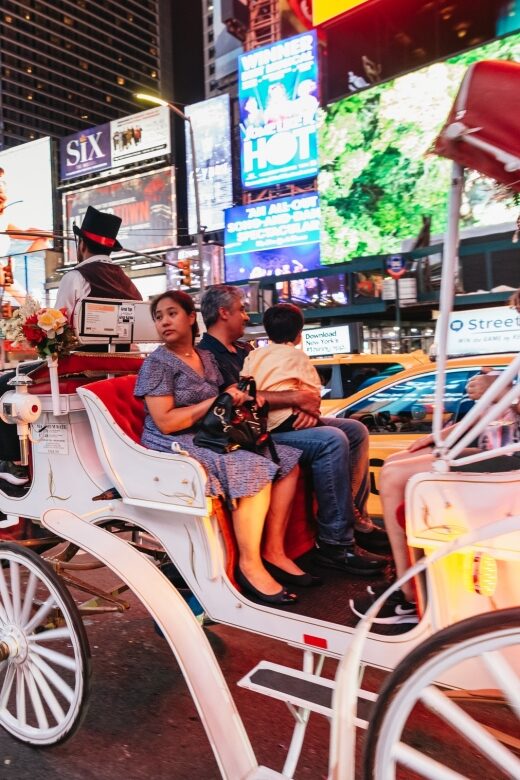 Central Park, Rockefeller & Times Carriage Ride (4 Adults) - Starting Point and End Location