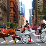 Central Park: Short Horse Carriage Ride (Up to 4 Adults) - The Guide and the Fine Details