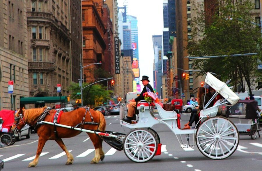 Central Park: Short Horse Carriage Ride (Up to 4 Adults) - The Guide and the Fine Details
